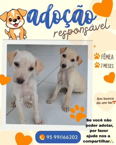 Doação responsável 
