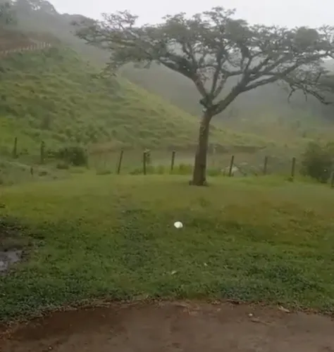 Fazenda de cacau 200 hectares 