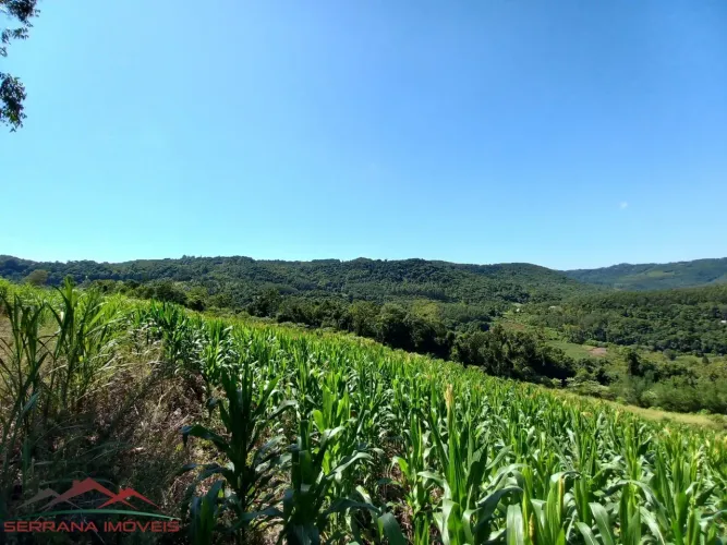 AREA RURAL em Nova Petrópolis - RS, Vila Germania