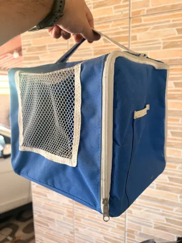 Viajante para aves