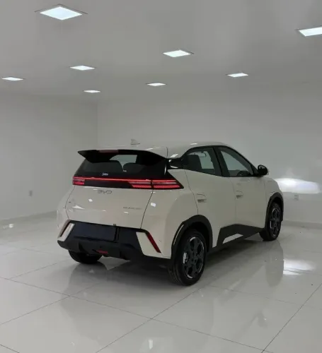 BYD Dolphin EV (Elétrico) 2024