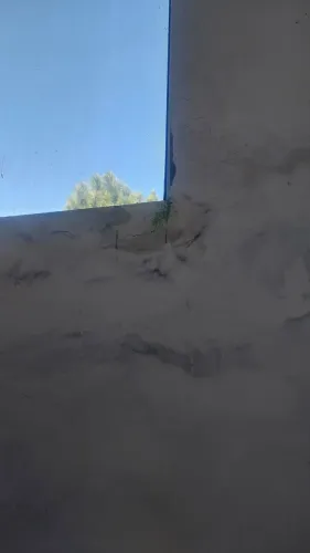 Preciso de pintor