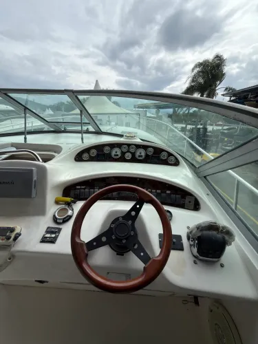 SEA RAY 36,5 