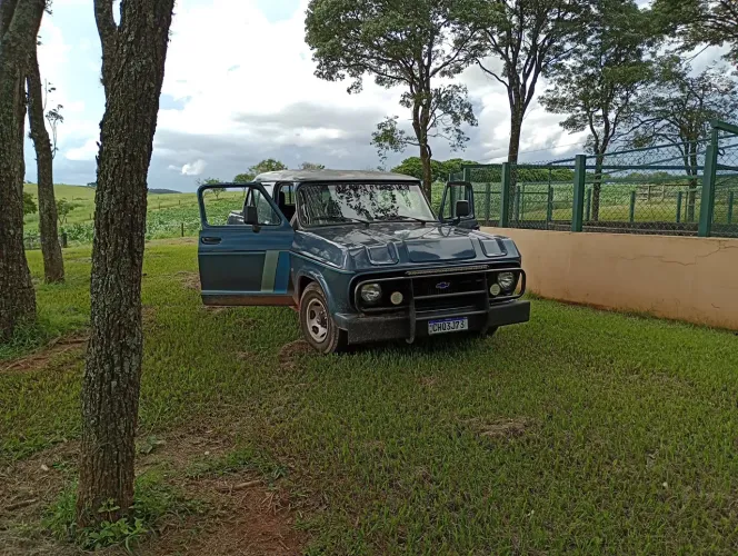 Chevrolet D-10 CD Diesel 1984