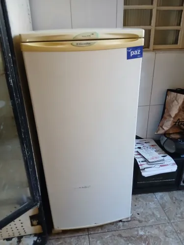 Freezer vertical