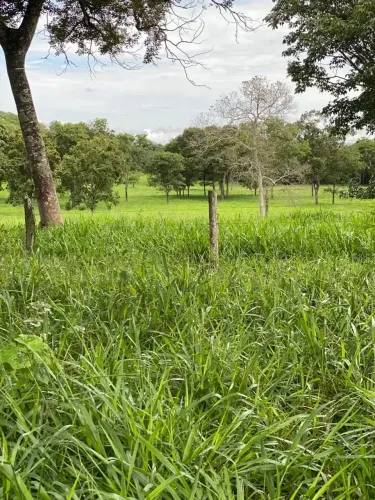 fazenda Formosa Bezerra BR 020 plana cultura escriturada troca