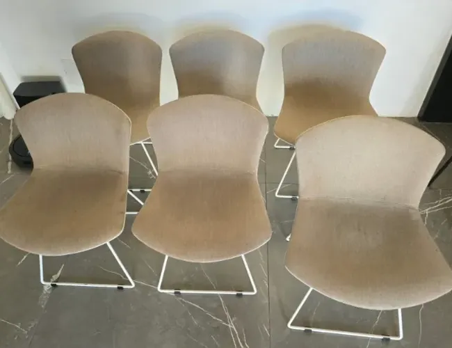 6 Cadeiras Beetle para sala, cozinha ou área de serviço