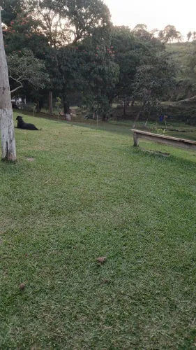 Pego grama para roçar