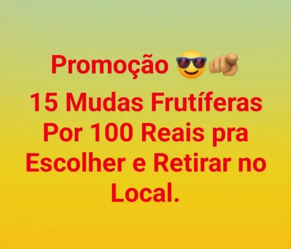 Promoção... 15 Mudas frutíferas por 100 reais pra escolher e retirar no local
