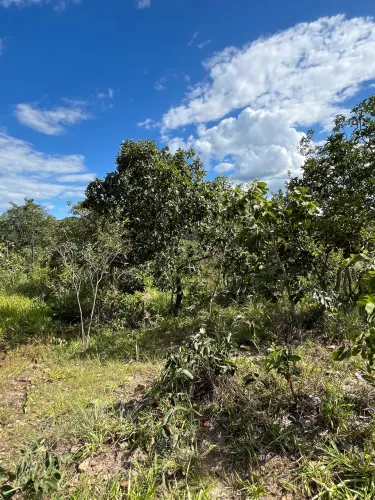 Vende-se Fazenda 2 alqueires(96.800) em hidrolândia