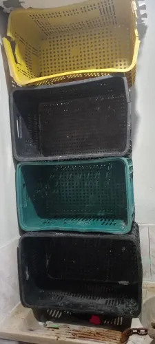 Caixa de pra frutas