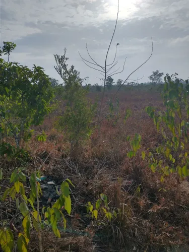 Terreno bonito 30×80 só15 min de Macapá.Veja!