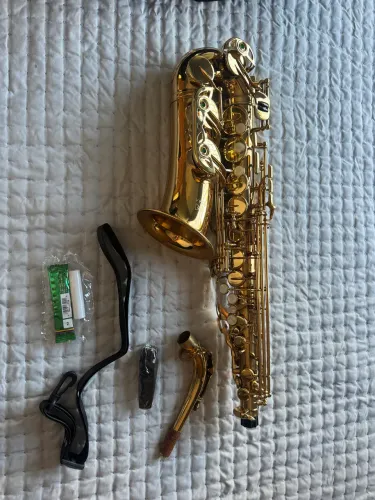 Saxofone Alto Michael Wasm30n Eb