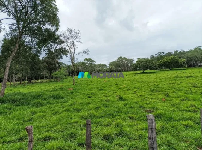 FAZENDA À VENDA - 78 HECTARES - CLÁUDIO (MG)