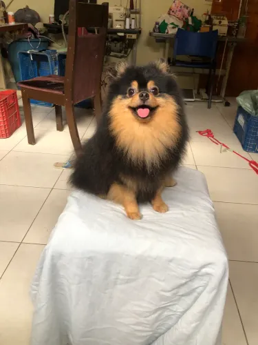 Disponível para cobertura 