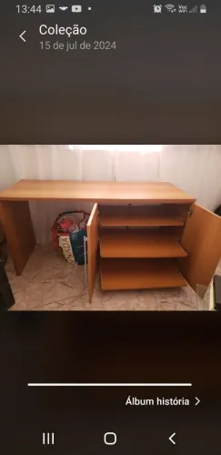 VENDO SAPATEIRA COM BACADA E PRATELEIRAS COM CORREDISIAS 