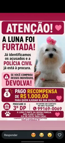 Cachorra roubada