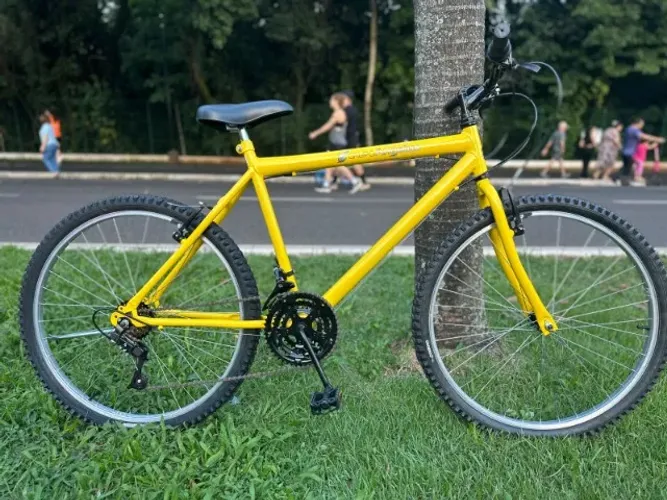 Bicicleta Amarelo Ouro - Só para os Reis