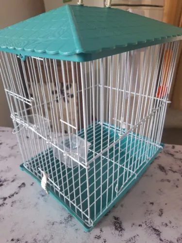 Gaiola Pequena Transporte Pássaros Aves Calopsitas Periquito