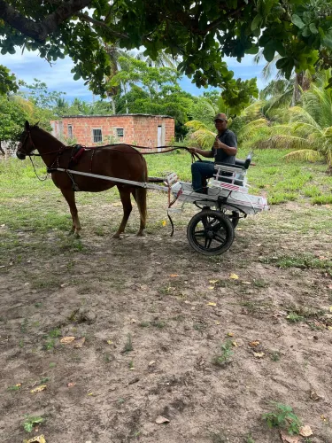 Vendo essa linda charrete oportunidade única 