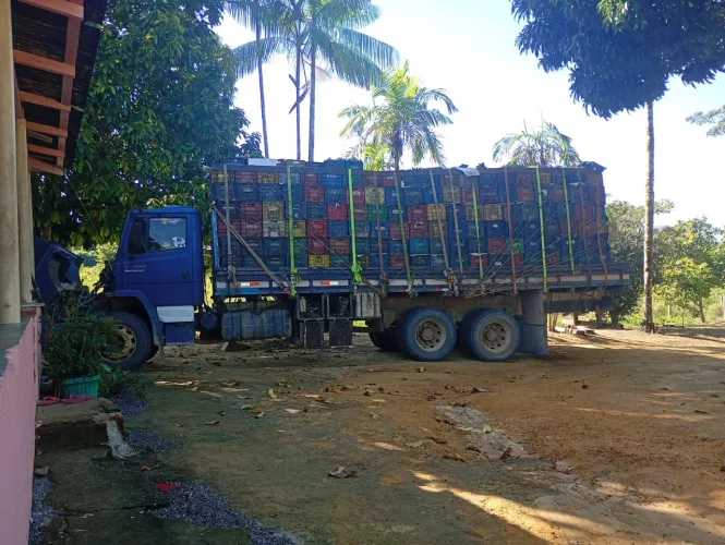 Venda de caminhão