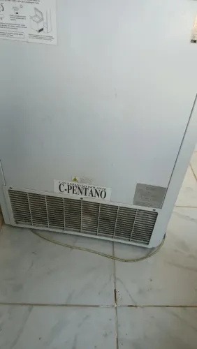 Freezer Electrolux