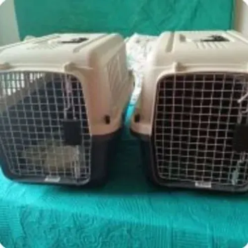Caixinhas de transporte PET