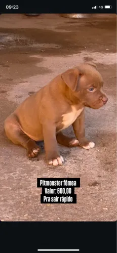 Pit Monster