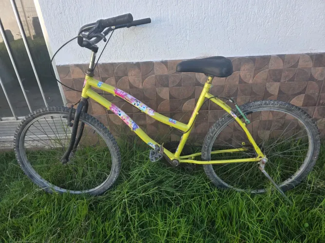 Bicicleta