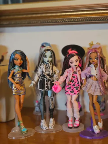 Lote Monster High Budget