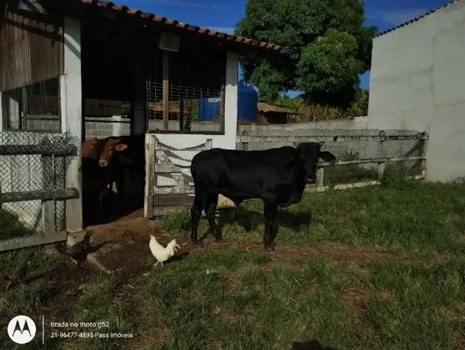 02 Sítios mesmo local, quase lado a lado com 13.000m² cada Sítio, os dois(02) murado.