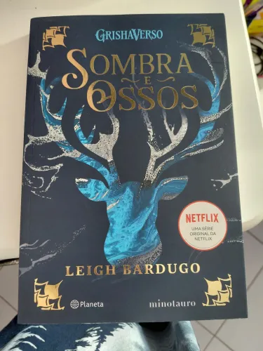 Livro Sombra e Ossos novo