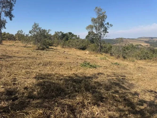 Chacaras no alto da boa Vista 