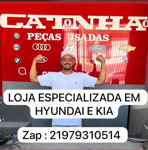 Catonhão auto peças novas e usadas especializada em Hyundai e kia