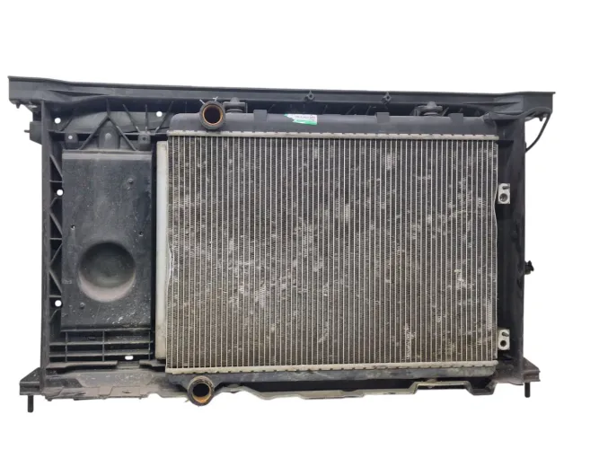 Radiador Citroën C4 Palass 2.0 2007/2008 USADO