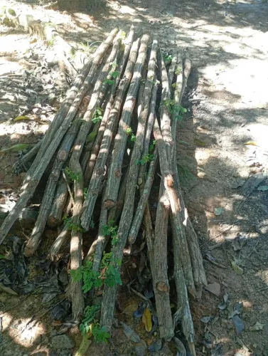 Estacas