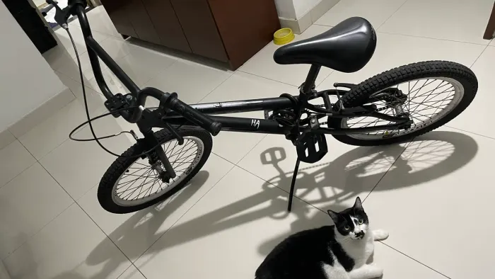 Bicicleta aro 20
