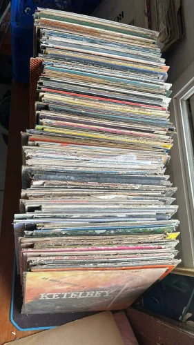 Lote de Lps/discos de vinil