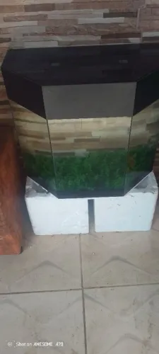 Aquário Curvo Grande