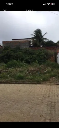 Terreno