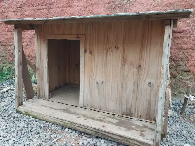 Casinha de cachorro