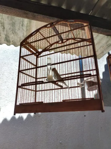 Gaiola