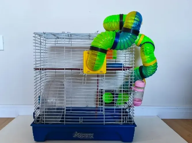 Gaiola para Hamster Quatiguá 