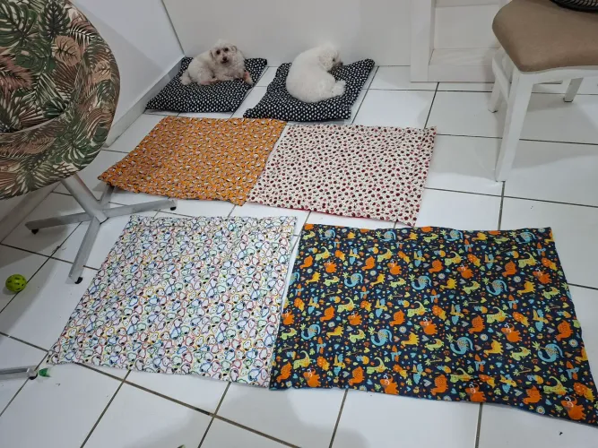 Tapetes para pets