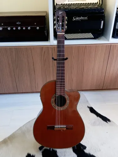 Violão Tagima