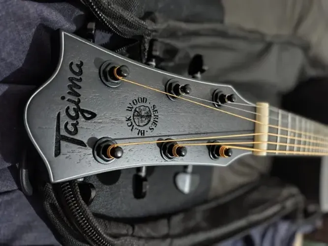 Violão Folk Tagima Black Wood