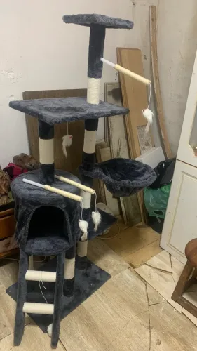 Árvore de gatos