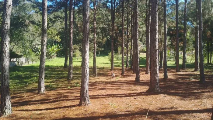Chácara para Venda em Juquitiba, Centro