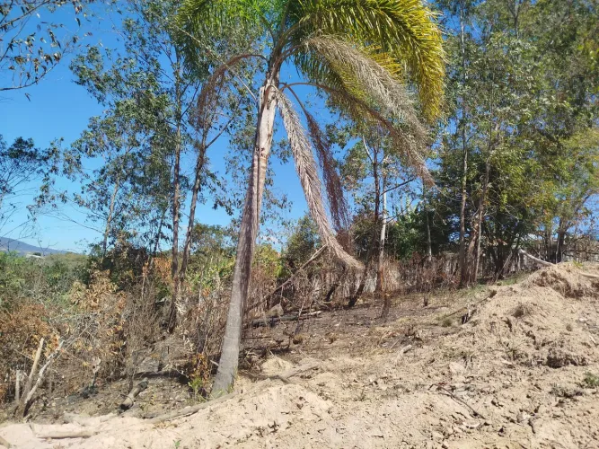 Vendo excelentes lotes no Residencial Chácara Jacobino 