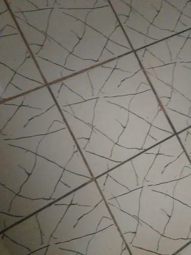 Rejuntadora profissional na área da construção civil